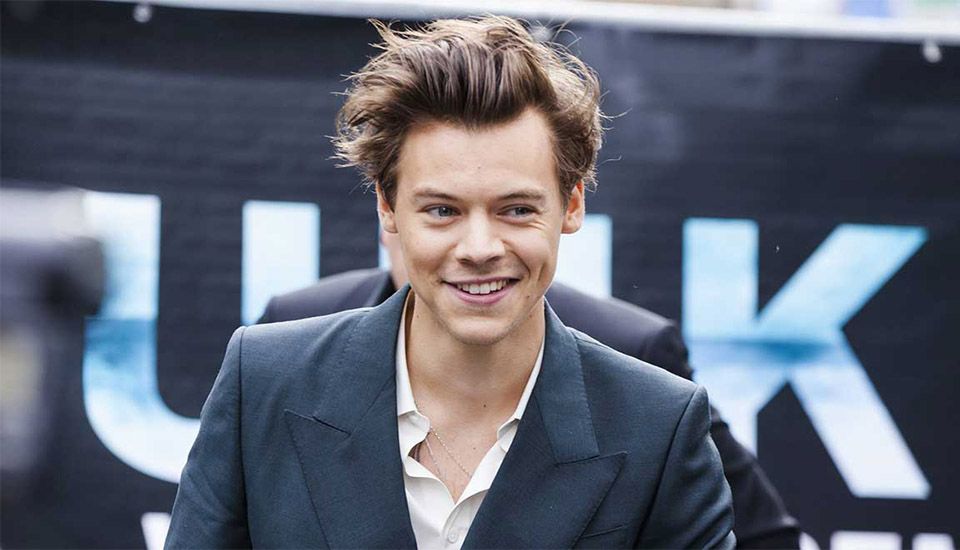 Harry Styles Siap Debut Sebagai Sutradara Film